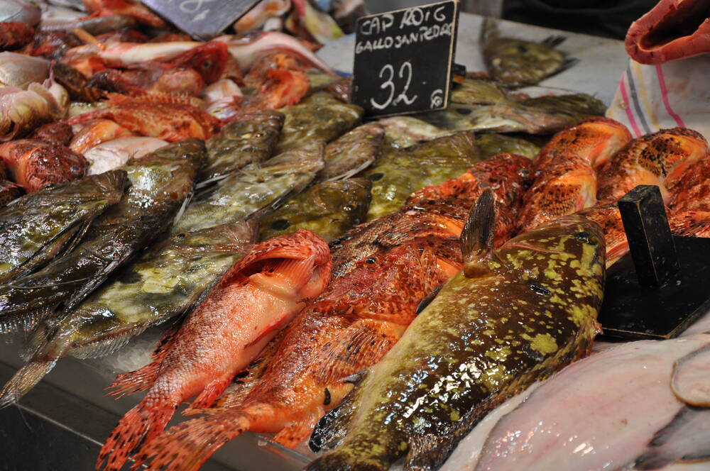 Küche unter Wasser - Fischspezialitäten